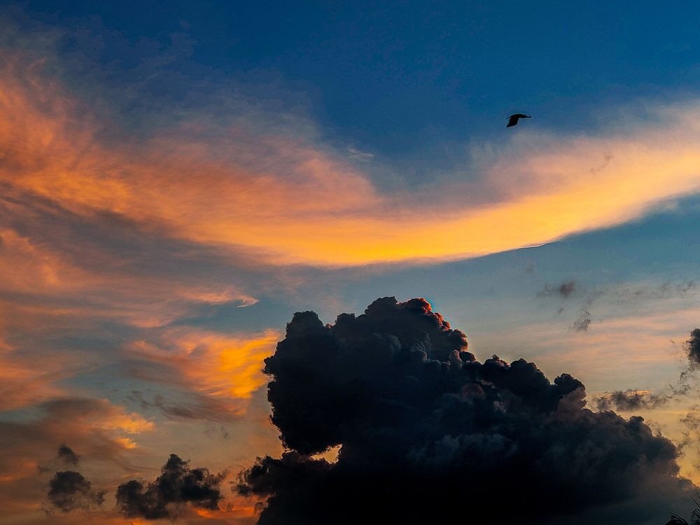 Photograph by SANJAY SINGH