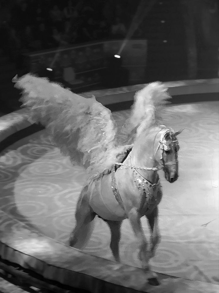 Photograph by Мария