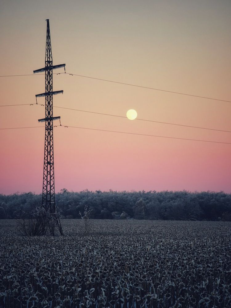 Photograph by Денис Сухов