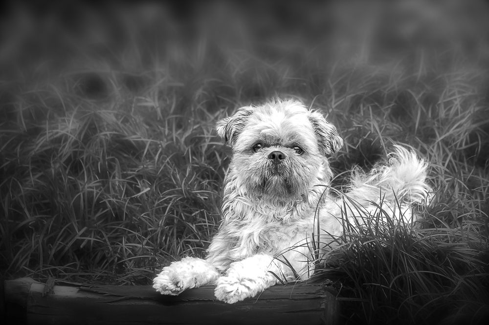 Photograph by Marcia Camargo