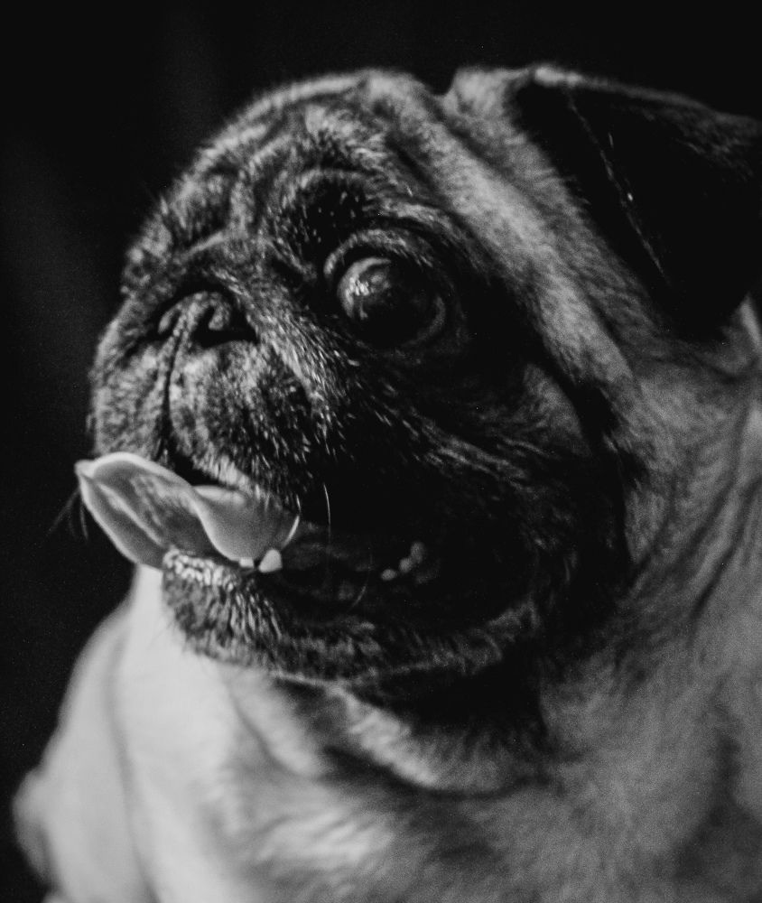 Photograph by Дарья