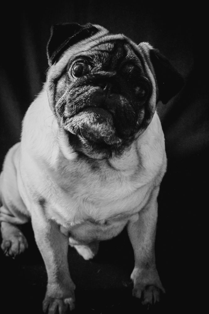 Photograph by Дарья