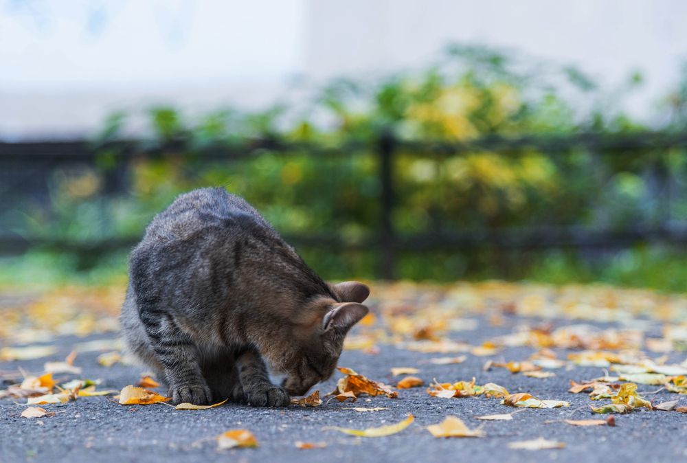 Photograph by Kirill Yakowlew