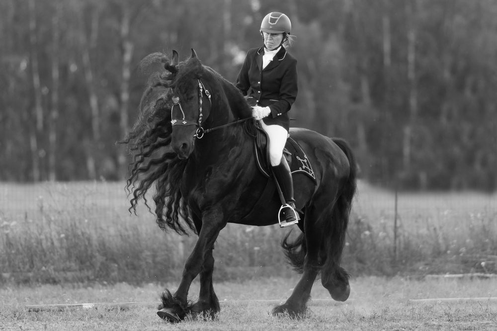 Photograph by Евгений Смирнов