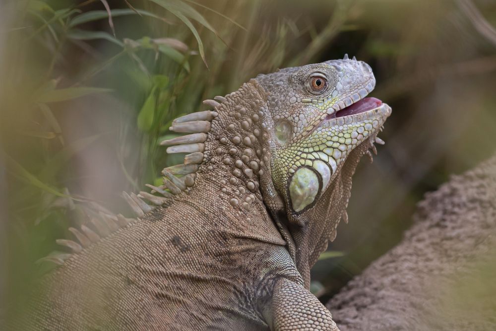 Photograph by Aлена Плясова