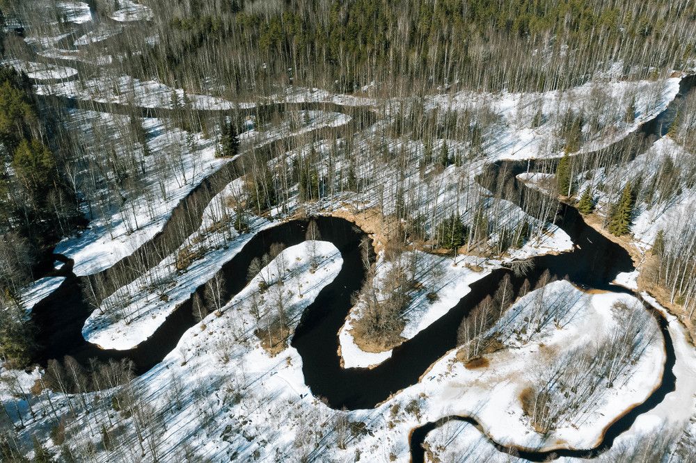 Photograph by Анна Рудякова