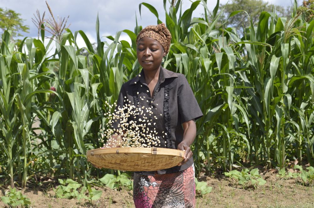 Photograph by Getrude Shamiso Manase