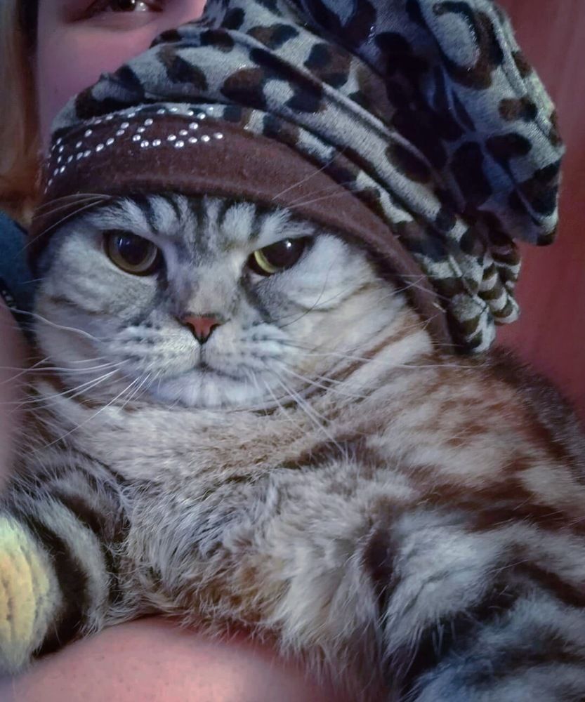 Photograph by Svetlana Victorovna Kibyakova