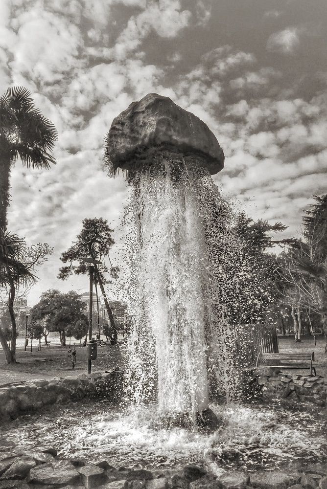 Photograph by Алла Холодова