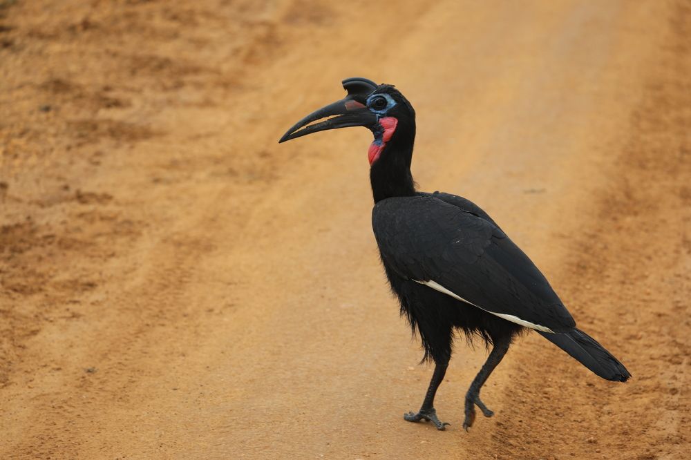 Photograph by MAKSIM MARKOV