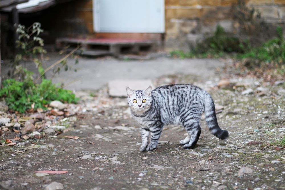 Удивление, кто идёт