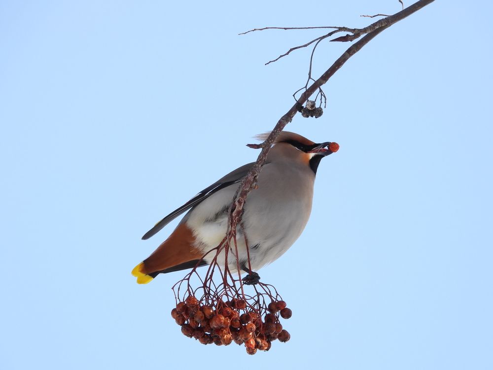 Photograph by Алексей Исаченко