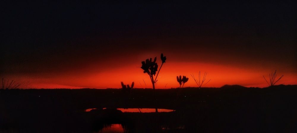 Sunset rage.