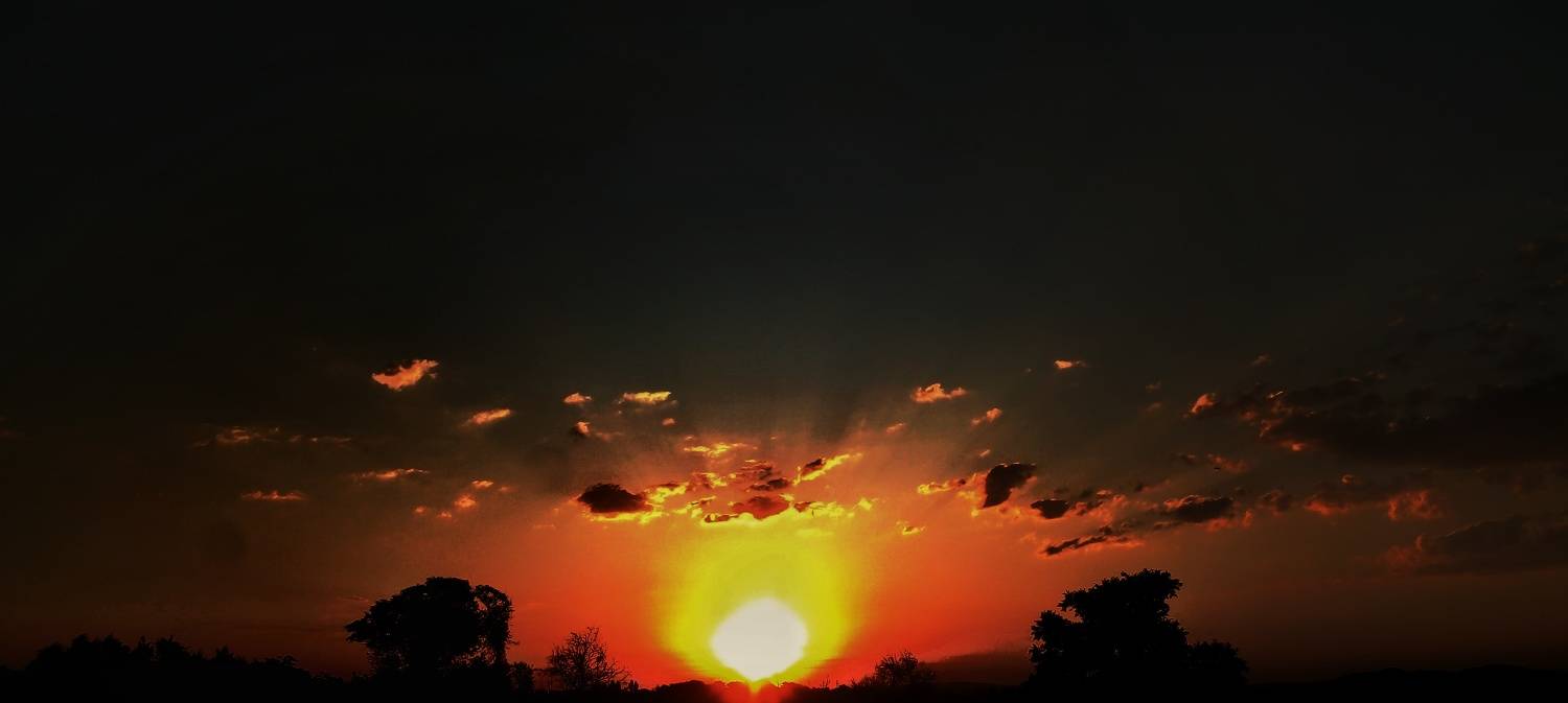 Photo #8794349