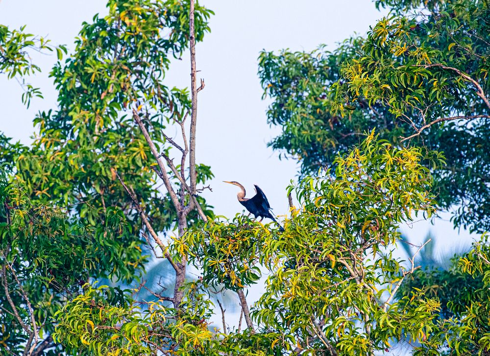 Photograph by Mahesh Krishna