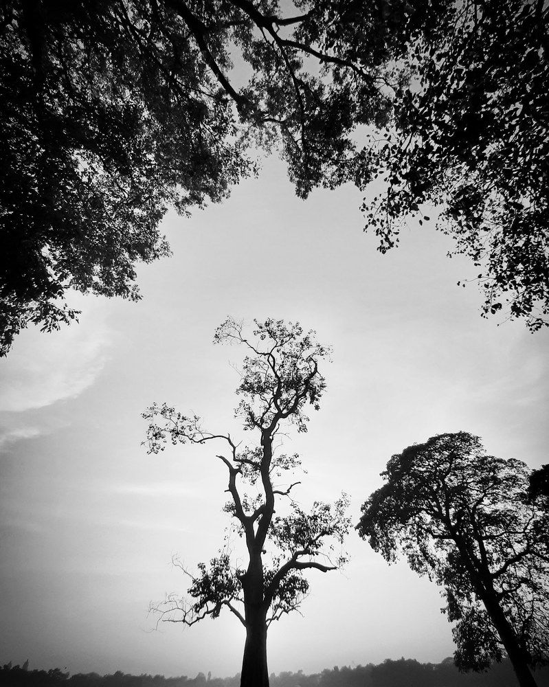 Photograph by Aryama Bhattacharya