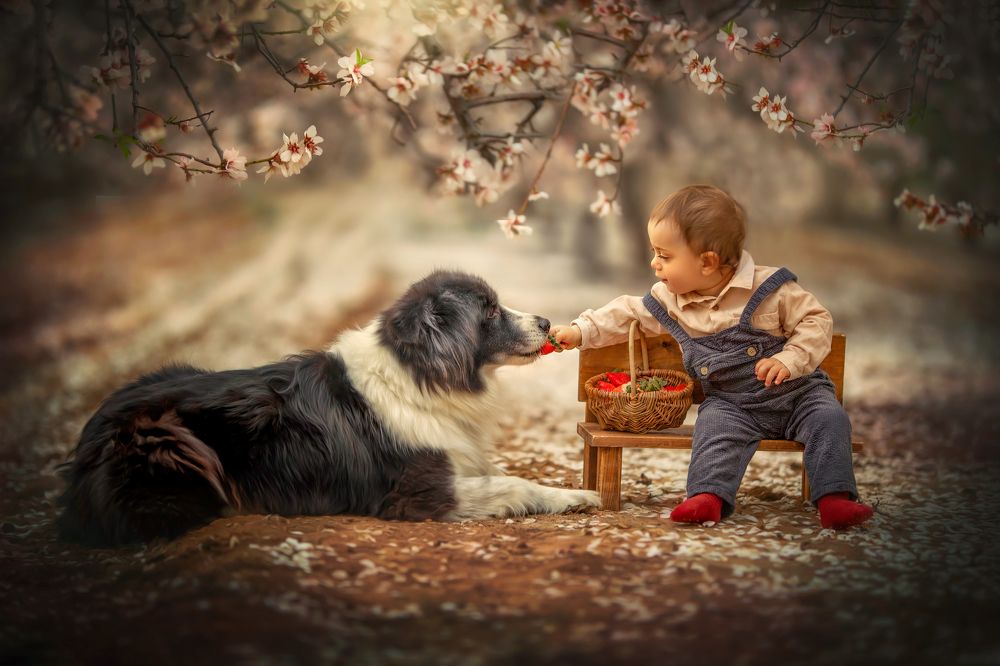 Photograph by yarden kaplan