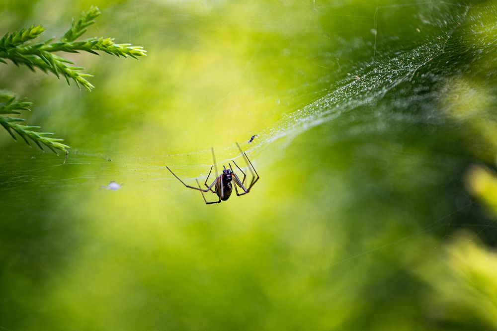 Photograph by Mahesh Krishna