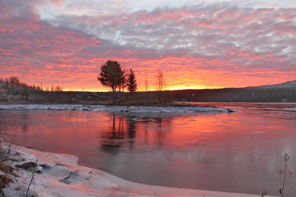 Photograph by Добролюбова Тамара