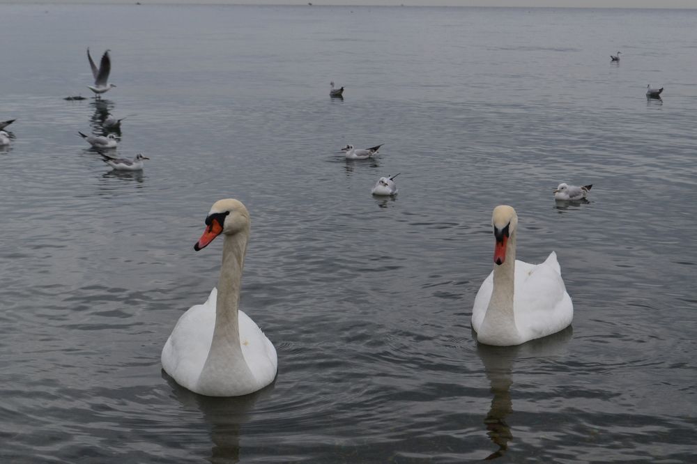 Photograph by Маргарита Матвеева