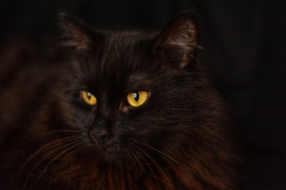 Photograph by Елена Акимова