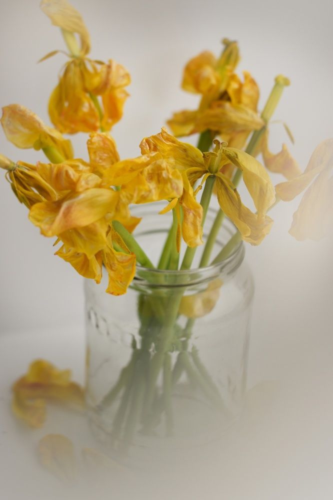 Photograph by Наталья Михалина