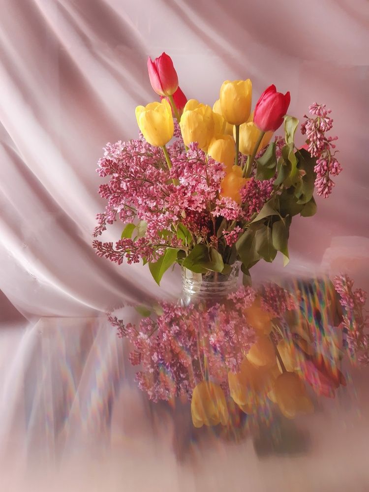 Photograph by Наталья Михалина