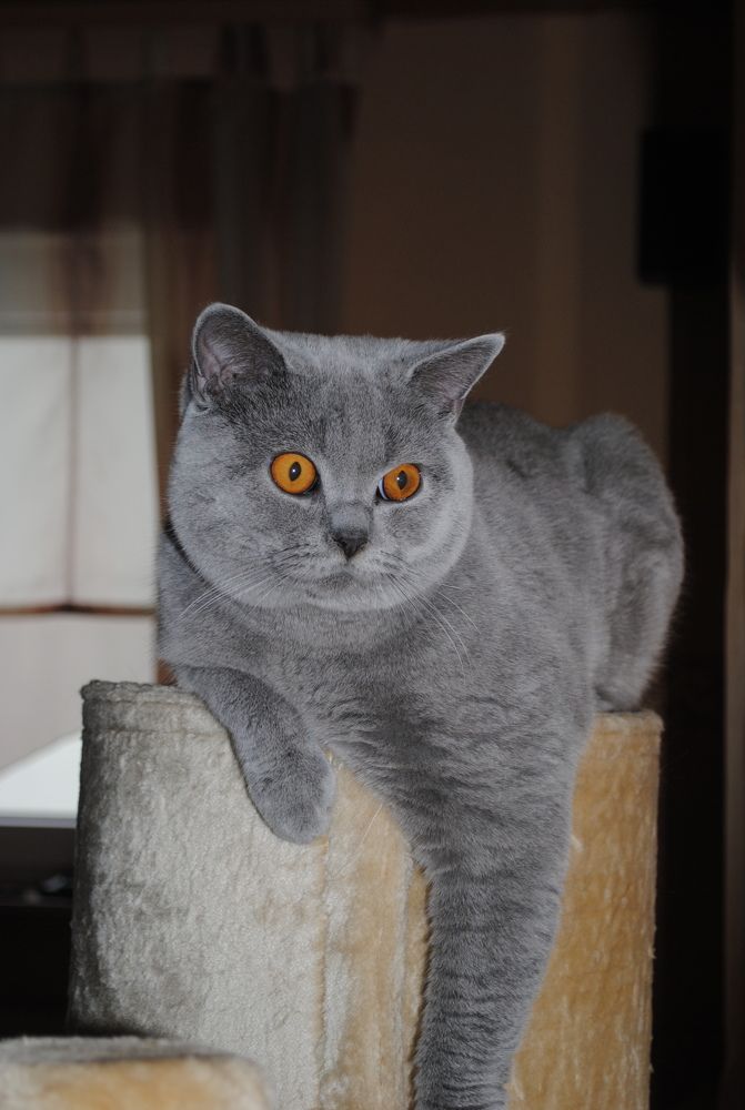 Photograph by Vadim Heinz