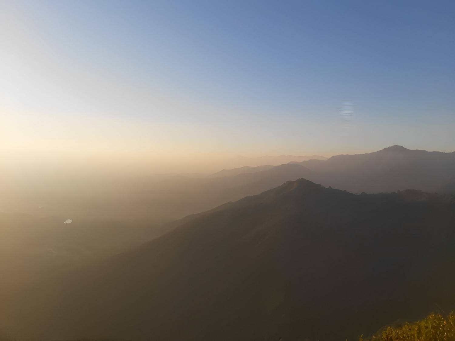 Photo #8794713