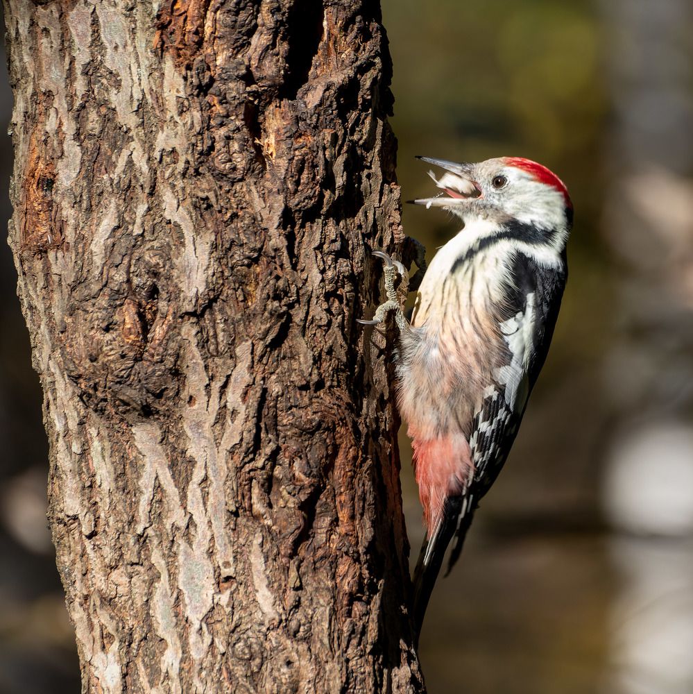 Вкусный хлеб -:))