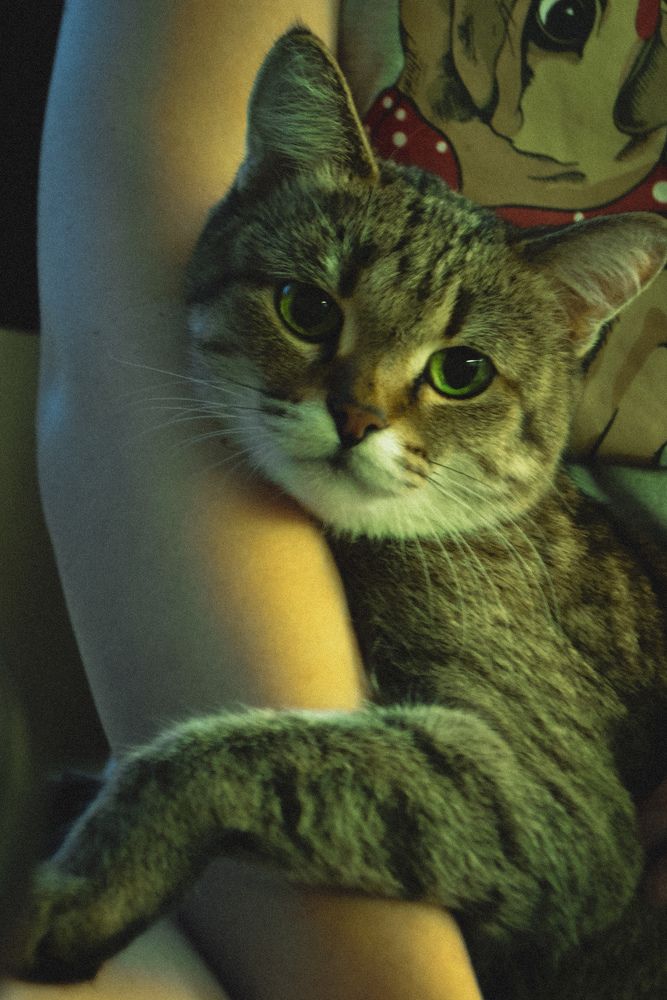 Photograph by Ксения Люлина