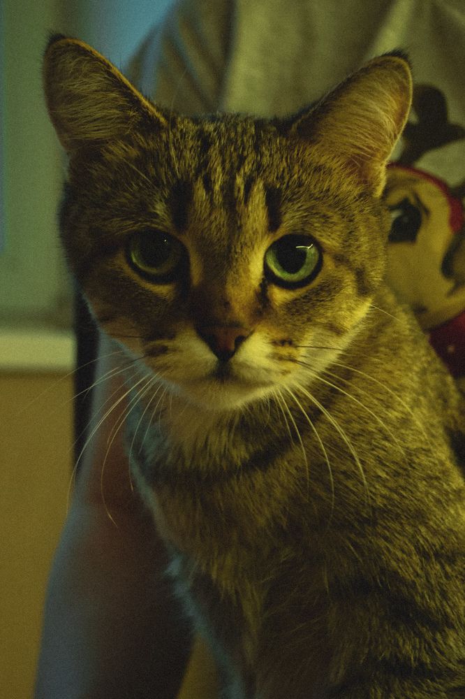 Photograph by Ксения Люлина