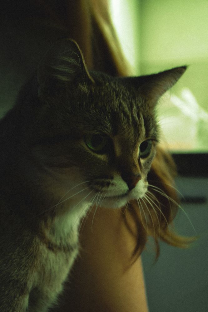 Photograph by Ксения Люлина