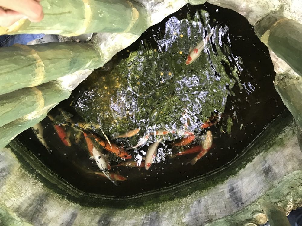 Photograph by CJ Mont