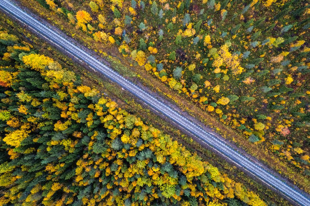 Фотография автора Katrin Lillenthal