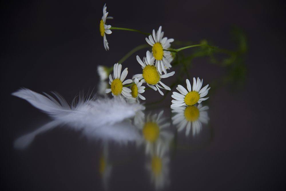 Photograph by Svetlana Khromova