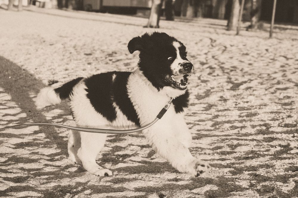 Photograph by Ольга