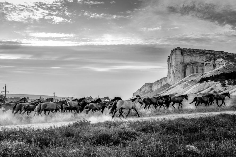 Photograph by Виктория Бобылева