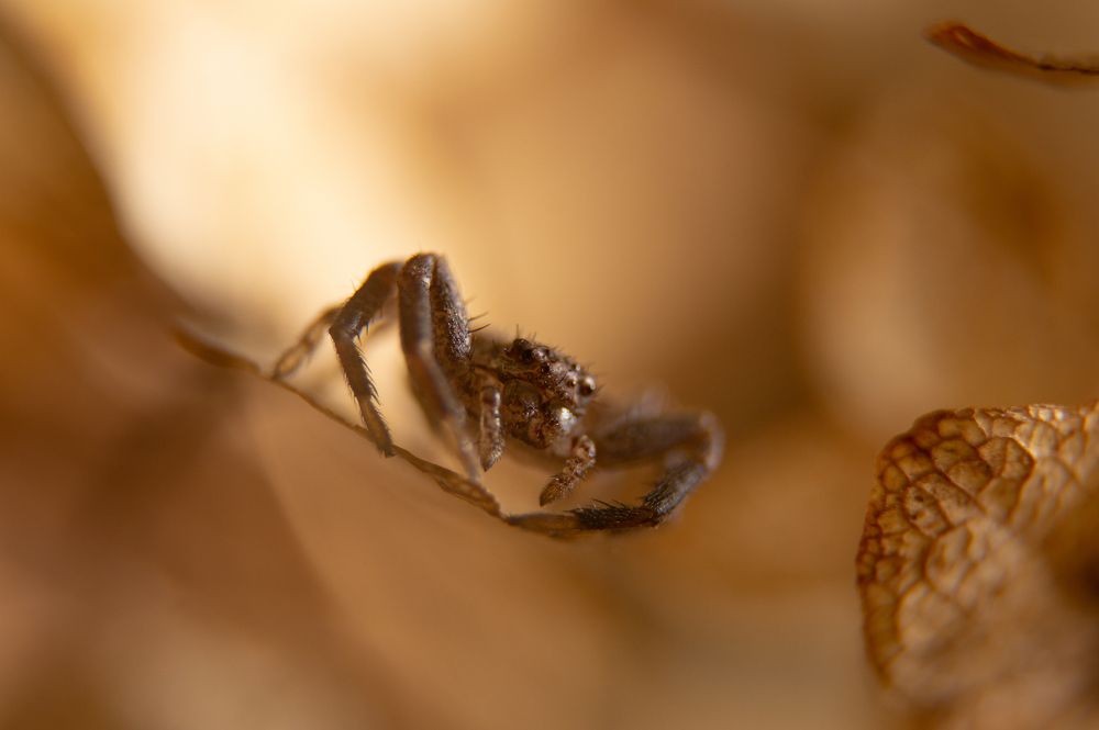 Photograph by Ариадна Подмогильная