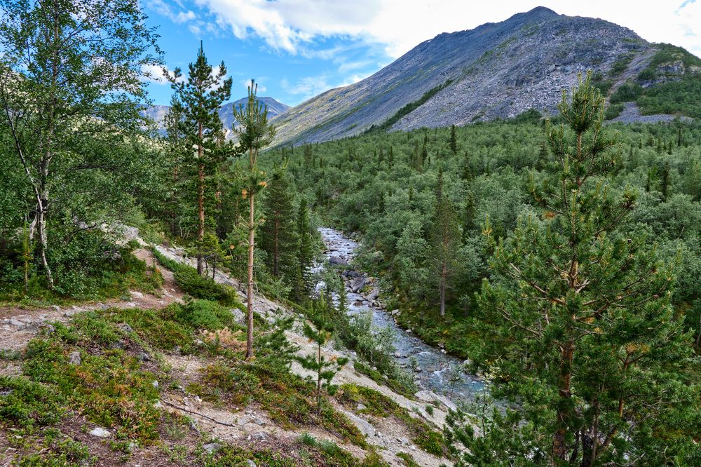 Photograph by Алексей Малов