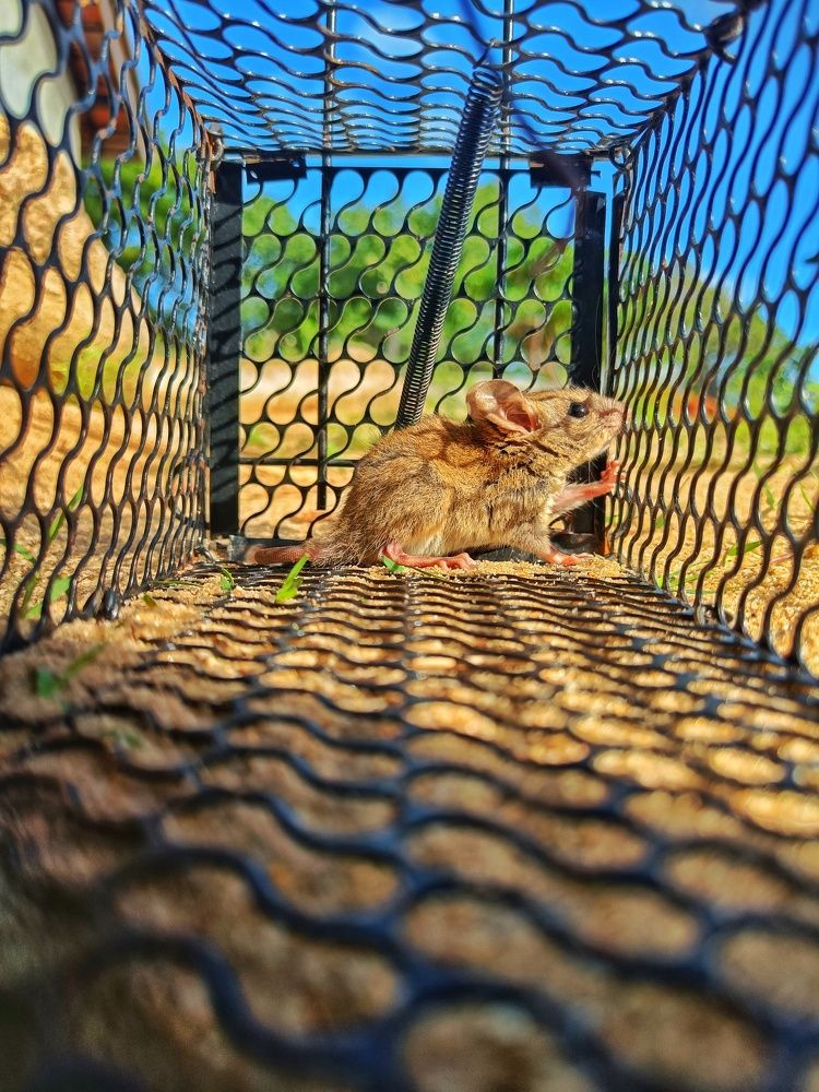 Photograph by Gokulananthan