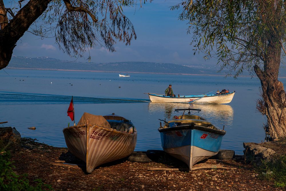 Фотография автора Mehmet Gokyigit