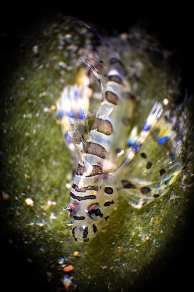 Photograph by Deniz muzaffer Gokmen