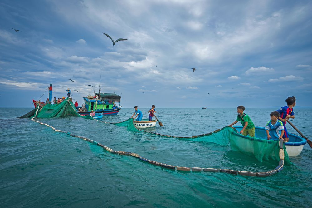 The children of coastral