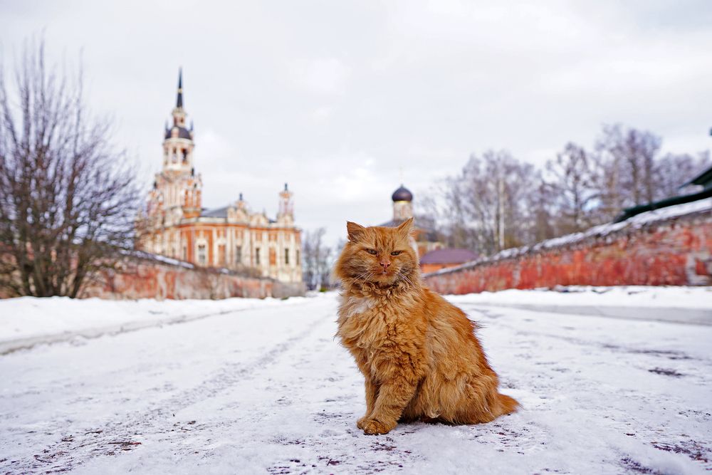Photograph by Екатерина Яковлевская