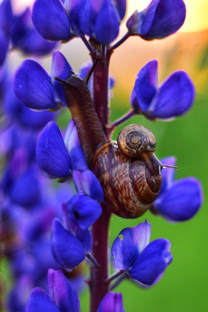 Photograph by Алеся Цеван