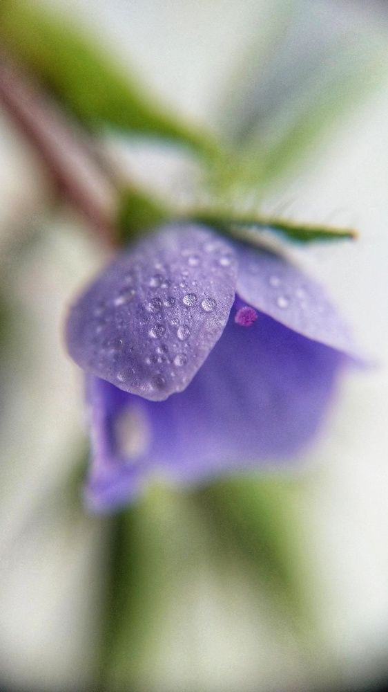 Photograph by Алеся Цеван