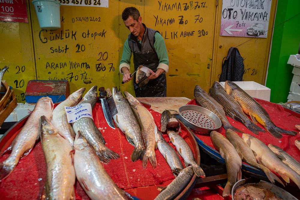 Фотография автора Mehmet Gokyigit