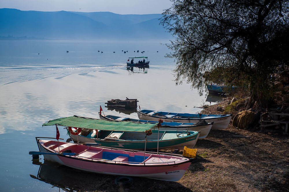 Фотография автора Mehmet Gokyigit