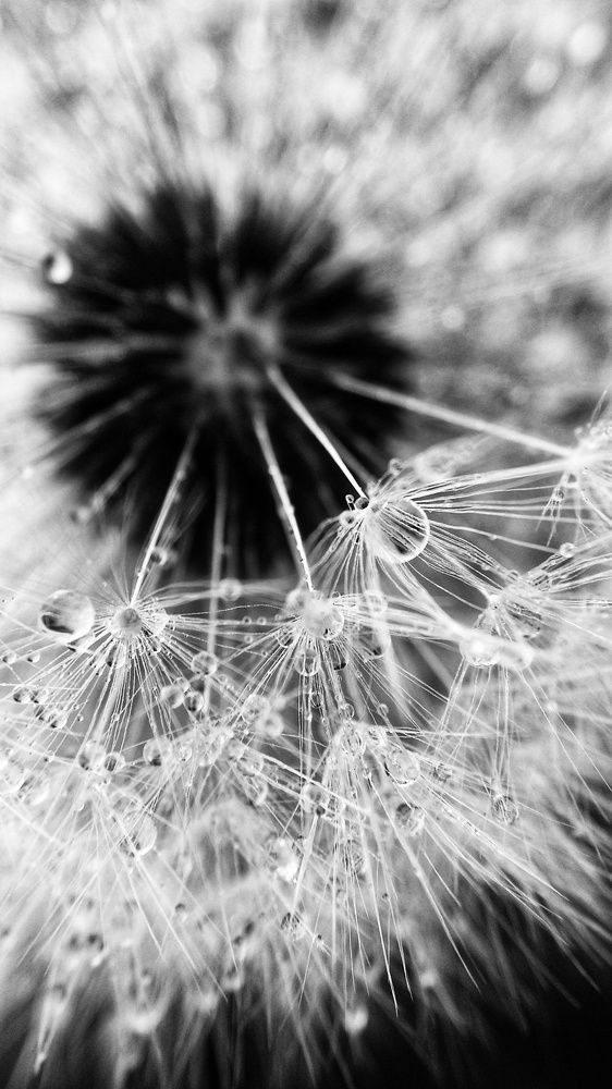 Photograph by Алеся Цеван